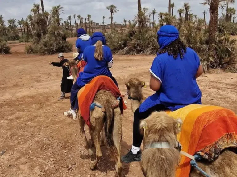 Camel Ride Marrakech