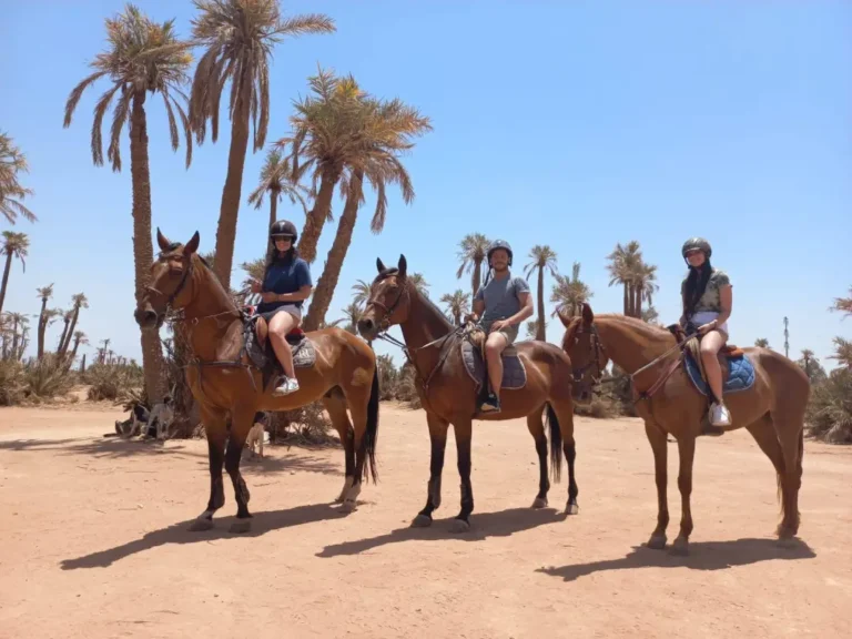 Horse Riding Experience