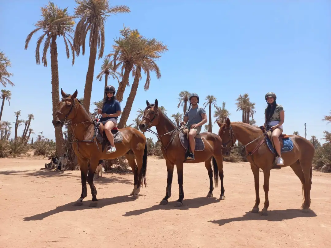 Horse Riding Experience