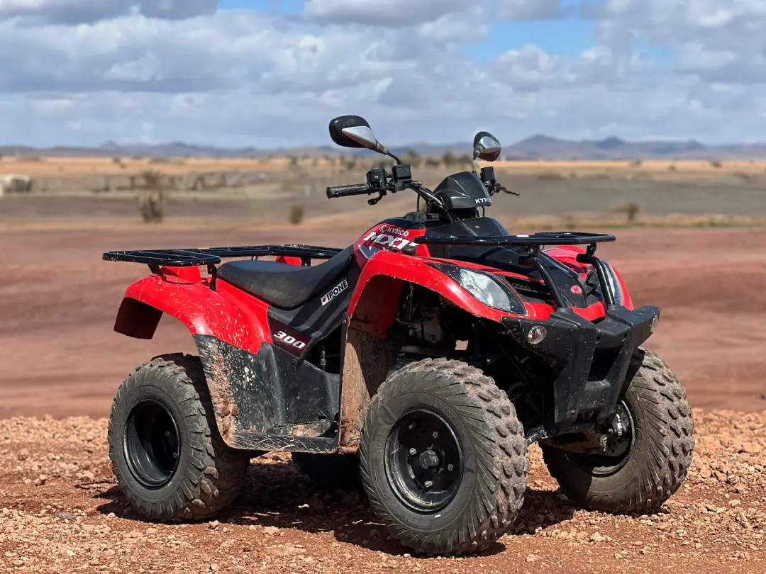Quad Biking palmeraie marrakech leisure (8)